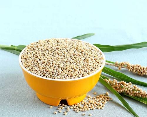 Jowar (Sorghum)