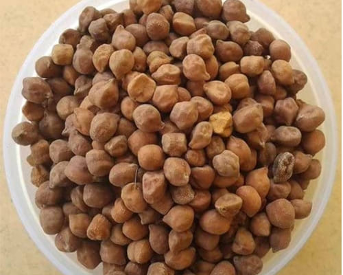Chana whole